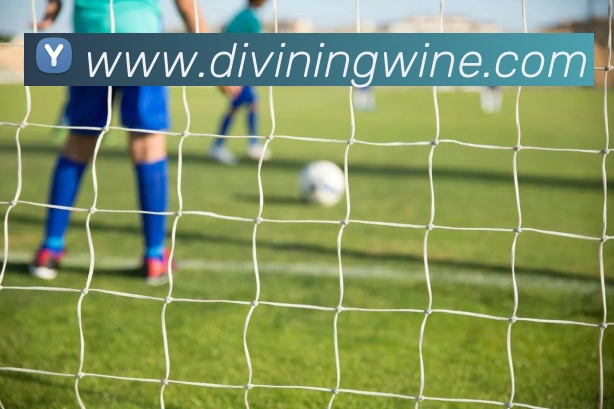 App功能展示图